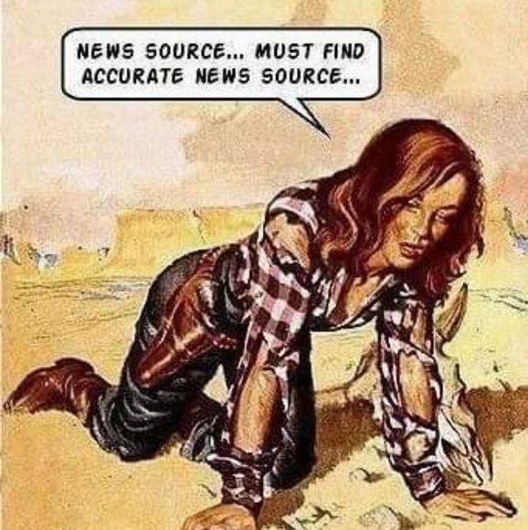 Meet your Posher, Mary - Picture 9 of 9